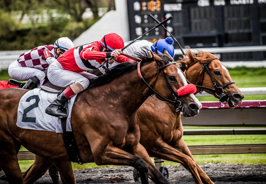 Horse racing